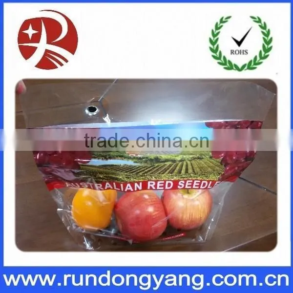 Stand up Pouch Zipper Fruit Packing Bag With Air Holes and Handle photo-3