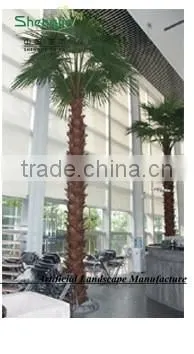 Shengjie 2015 SJH44152 Large Artificial Palm Trees for Hotel,shopping Mall Decoration photo-3