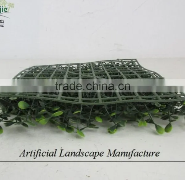 Anti-UV Grass Carpet , Artificial Milan Grass for Wholesale photo-3