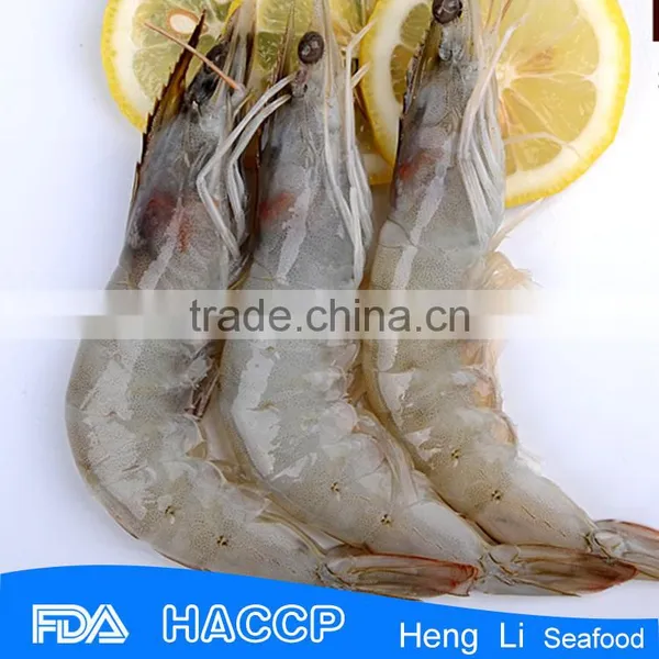 HL002 Shrimp on Sale FDA Certification photo-4
