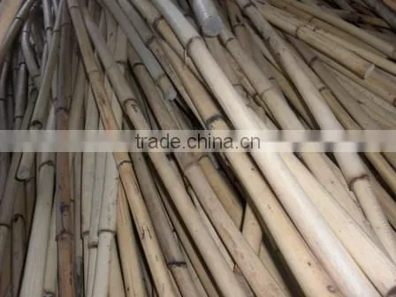 White Malacca, Mantang, Malacca, White Cane, Rattan, Cane, Rattan Cane, Rattan Pole, Pole, Cane Pole photo-6
