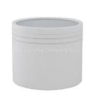 8W Surface Mounted Downlight