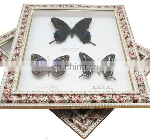 Wall Pedant Mural Butterfly Frame for Gifts photo-6