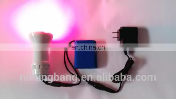 Ningbang Hot Sale White PVC Inflatable Balloon photo-4
