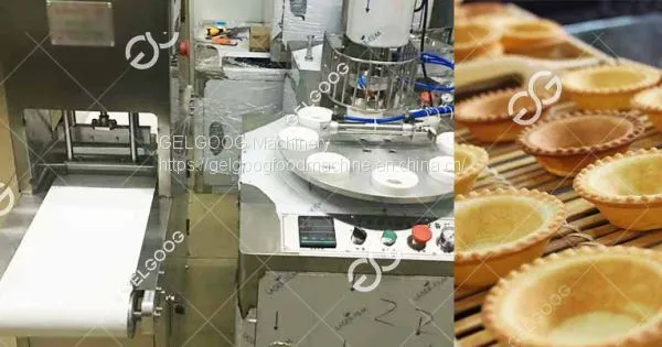 Egg Tartlet Making Machine For Business Use photo-2
