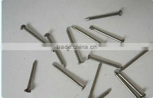 Common Nail Iron Nail Factory