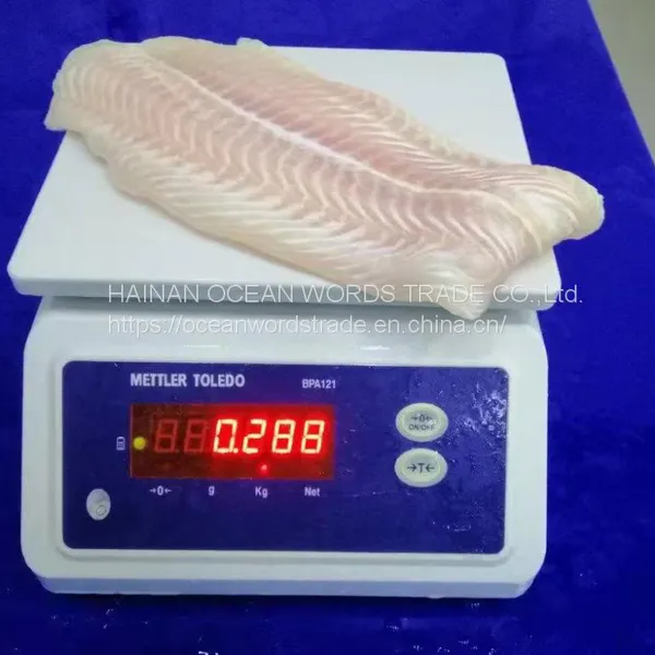 Frozen Pangasius Fillets, (pangasius Hypophthalmus) , Filete De Basa, Basa Rojo, Blanco photo-4