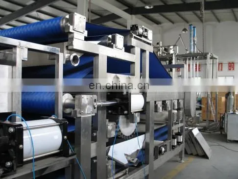 Fruit Juice Production Line/fruit Juicer Processing Line/ Filling Machine photo-5