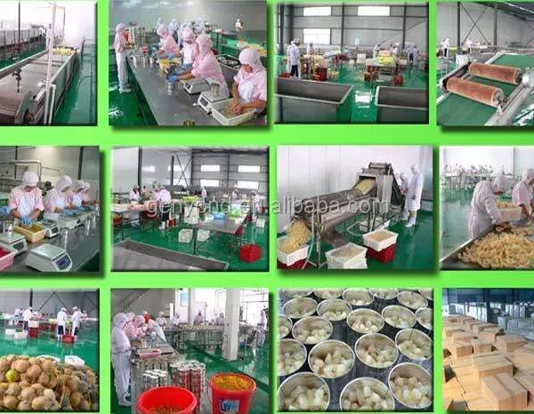 Sweet Canned Corn Steam and Electric Heating Canned Vegetable Production Line photo-4