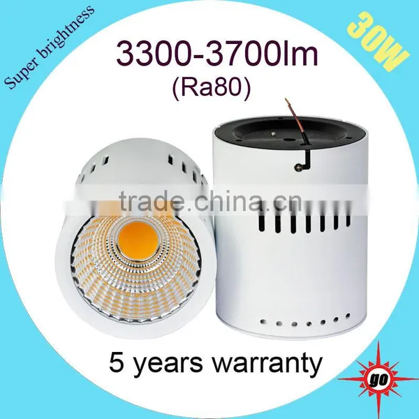 New Design 30w Surface Mounted LED Downlight photo-2
