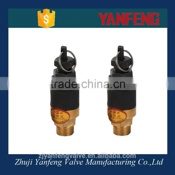 Made in China Brass Thread and Iron Body Pressure Control Valve Price photo-2