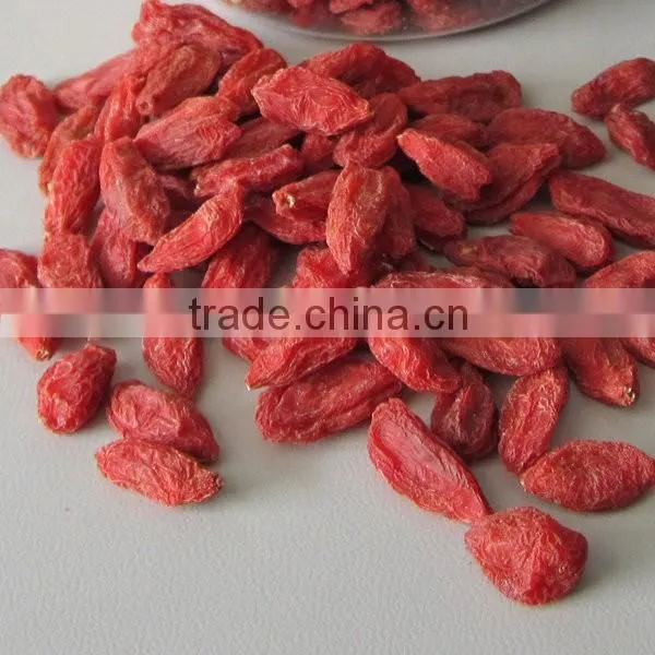Organic Goji Berries in Low Price