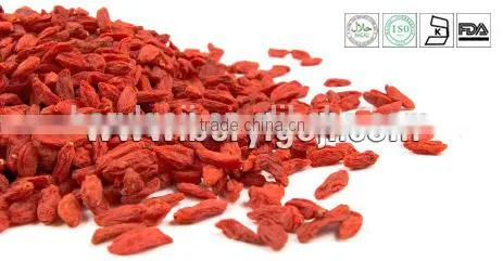2014's Crop Low Pesticide Gojiberry in Good Quality and Price photo-2
