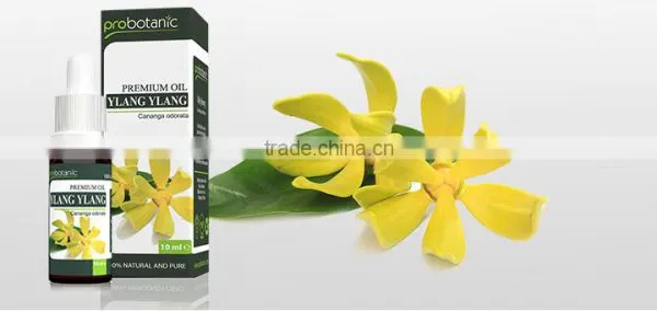 Ylang-Ylang Oil photo-2