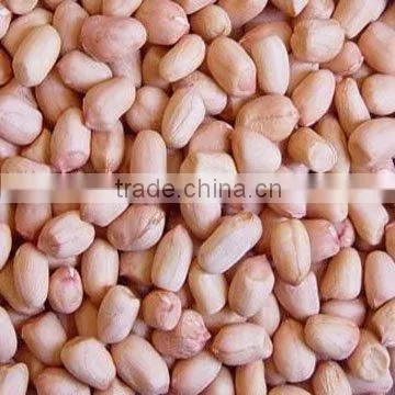 Groundnut 2014new Crop photo-2