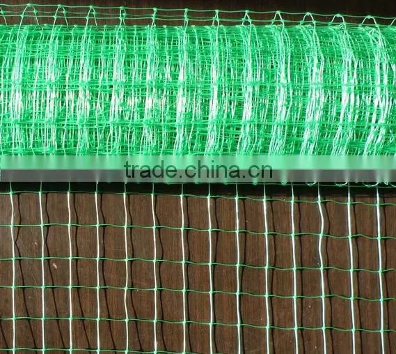 100% pp Plastic Grass Growing Net/Turf Growing Net photo-4