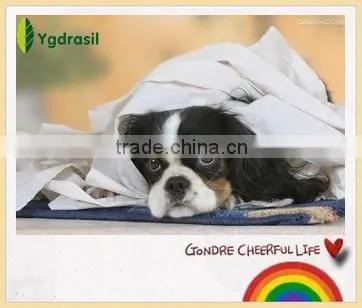 Toilet Paper Parent Jumbo Roll photo-4