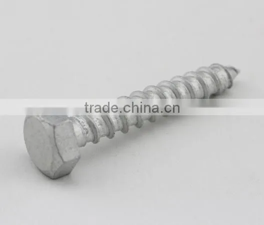 Hot Dip Galvanized Hexagon Head Wood Screws DIN571 photo-3