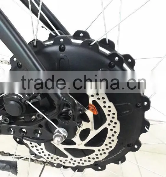 500w Rear Hub Motor Hiddle Electric Bicycle photo-5