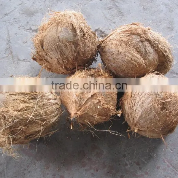 Old Coconut Peeler Machine photo-3