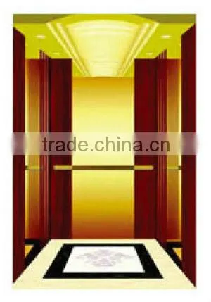 Villa Elevator / Home Lift 320kg-400kg