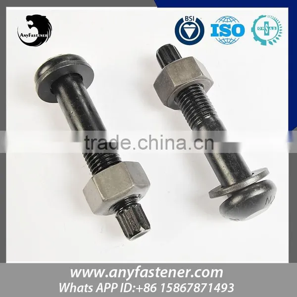 High Productivity High Tensile ASTM F I852A325/A490 TC Bolt and Nut photo-2