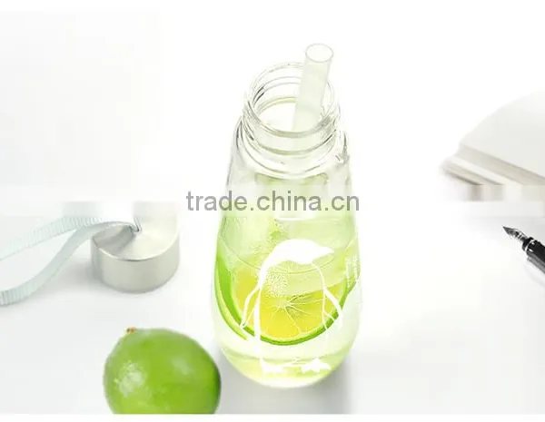 480ML Water Bottle With Bag Leak Proof Custom Glass Water Bottle Drinkware Transparent Water Bottles Cute Outdoor Sports Tumbler photo-2