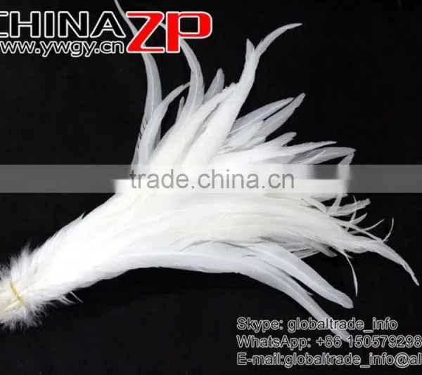 NO.1 Supplier ZPDECOR Best Selling Bleached White Fully Dyed Roosters Chicken Feathers photo-5