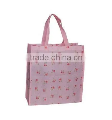 Non Woven Shopping Bag