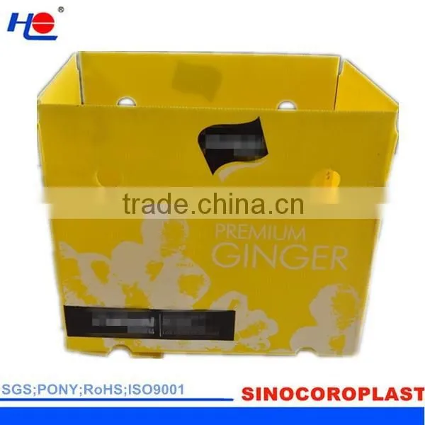 PP Corrugated Plastic Fluted Ginger Box photo-2