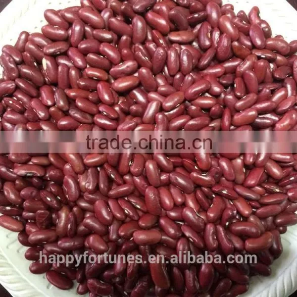 Dark Red Kidney BEans