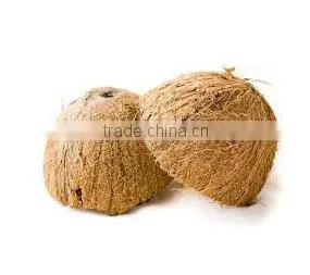High Quaity Cheap Natural Coconut Shell