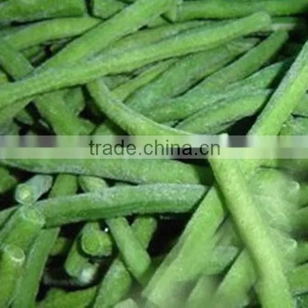 Broad Green Beans With Marketing Price for Hot Sale With HACCP&ISO photo-6