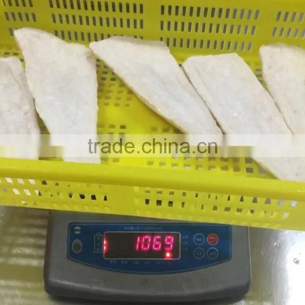 Frozen Alaska Pollock Fillet