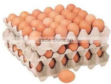 Automatic Egg Grader/egg Grading Machine/egg Grading Packing Machine photo-6