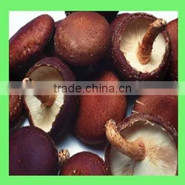 Grade A Dry Shiitake Mushrooms photo-5