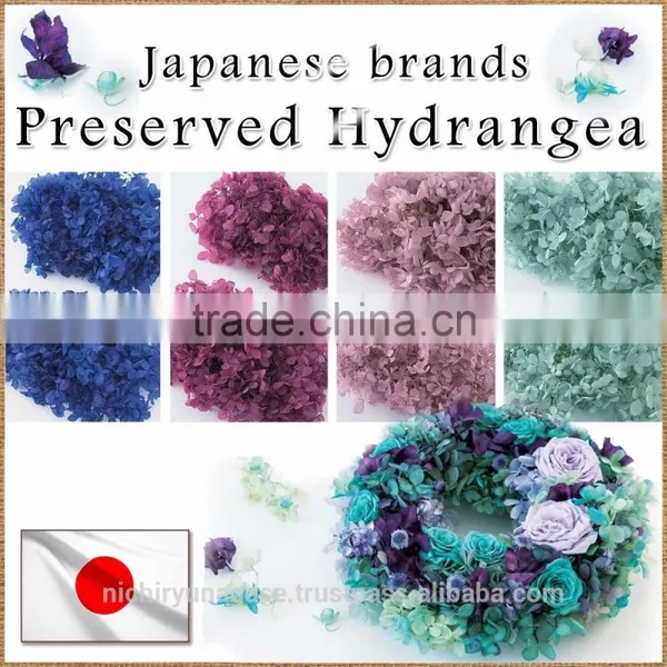 Pretty Hydrangea Preserved Flowers With Various Species