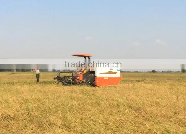 Small Rice Wheat Corn Combine Harvester Machine for Selling photo-3