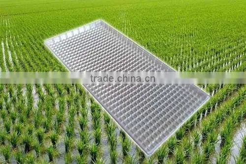 New Product Supreme Quality Competitive Price Black Seedling Tray photo-2