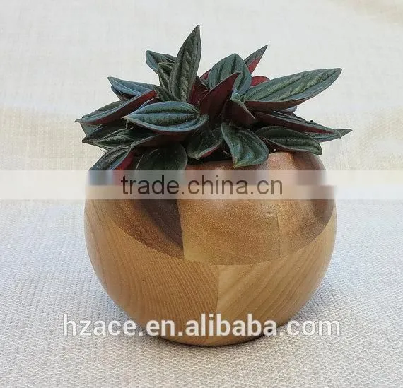 Sphere Succulent Air Plant Planter Wood photo-2