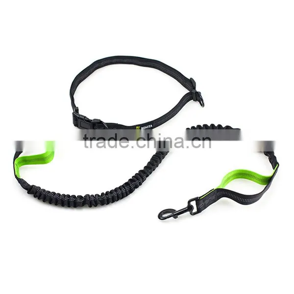 Amazon Best Selling Pet Dog Belt, Free to Run Dog Leash Rope photo-4