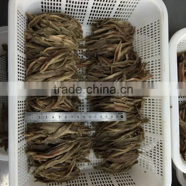 New Season Vacuum Salted Anchovy Fillet photo-3