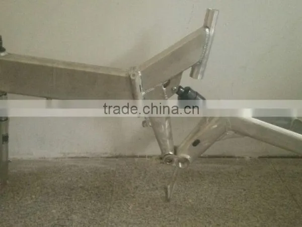 Electric Bicycle/bicycle Frame