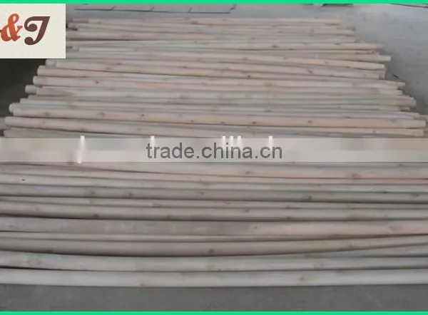 Eucalyptus Wooden Snow Shove Handle photo-3