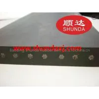 Steel Cord Conveyor Belt photo-2