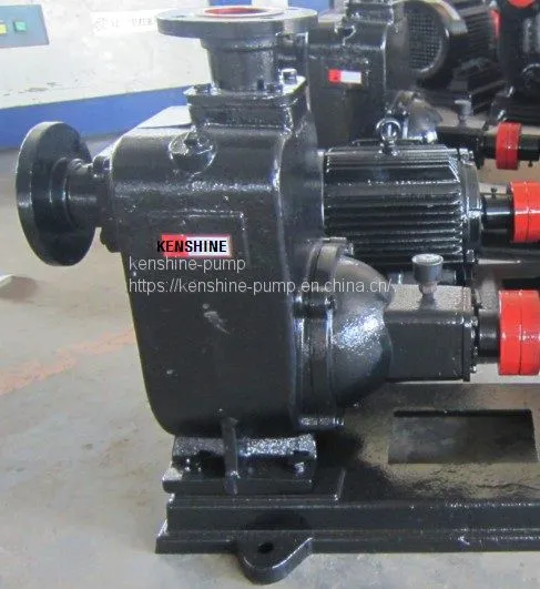 ZW Self Priming Sewage Pump With Trailer photo-2