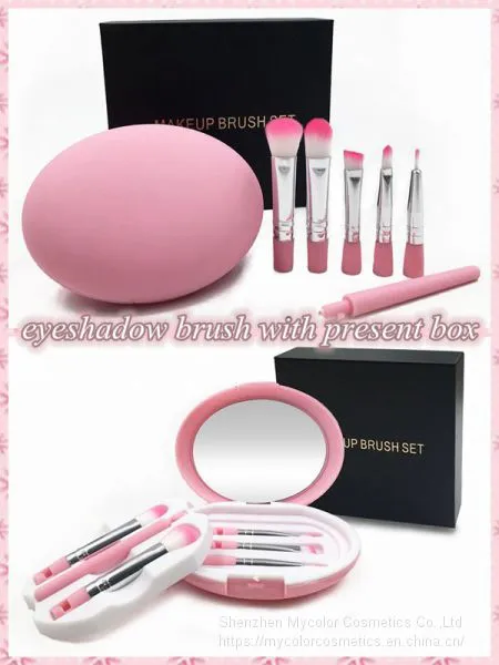 5pcs Travel Portable Eyes Brush Set Makeup Brush Set for Eyes With Box