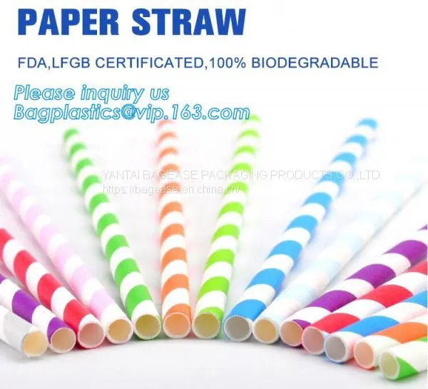 DRINK STRAW CONTAINER BOWL CUP CUTLERY PLATE TRAY MEAL BOX KITCHENWARE TABLEWARE HOUSEWARE DINNERWAR
