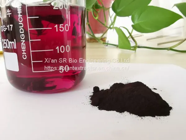Natural Organic Blueberry Extract Powder Anthocyanin 25%