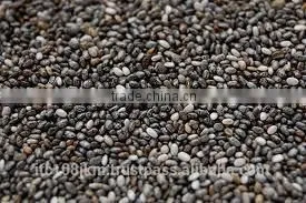 PREMIUM INDIAN CHIA SEED